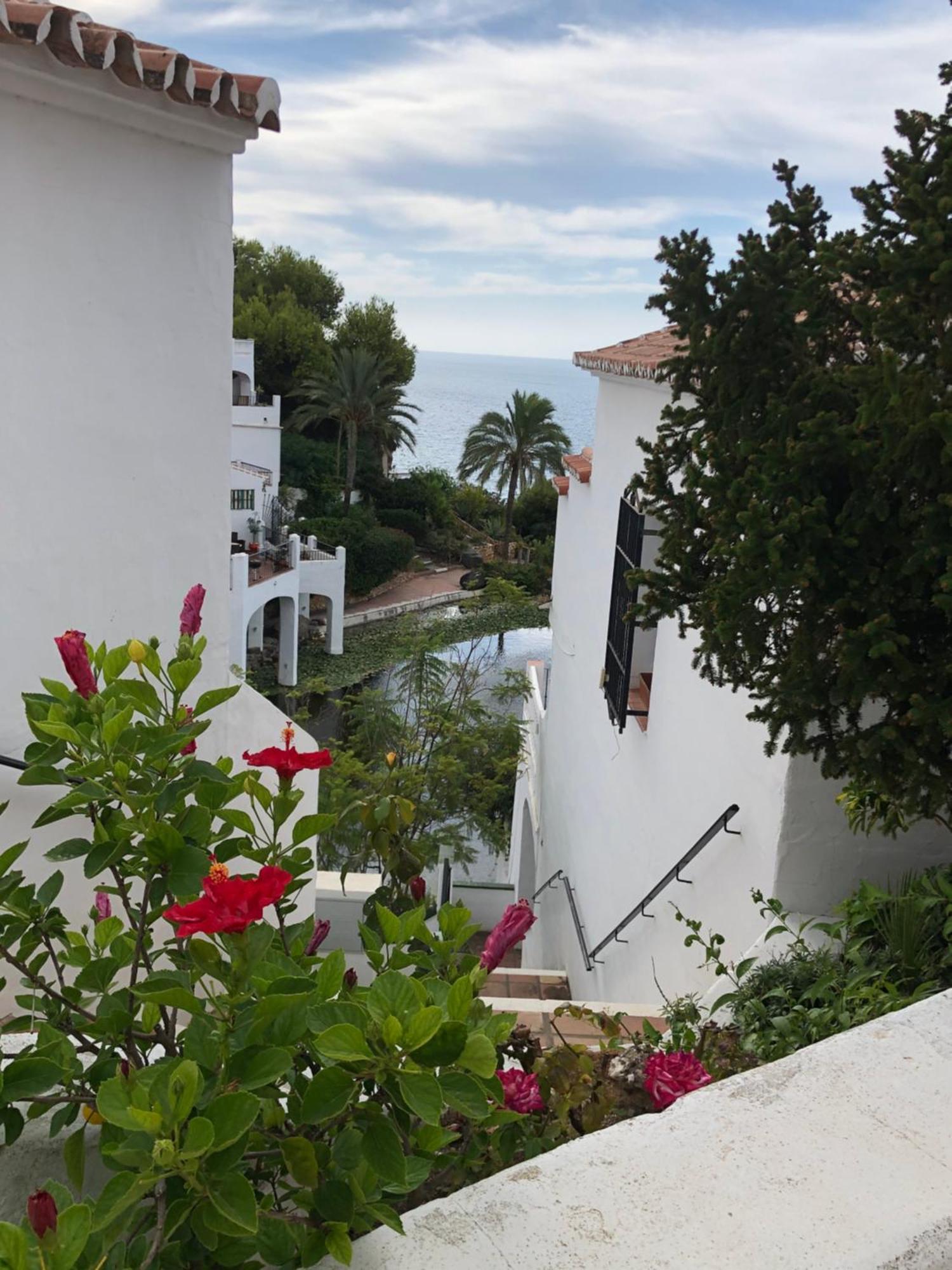 Nerja With View Διαμέρισμα Εξωτερικό φωτογραφία